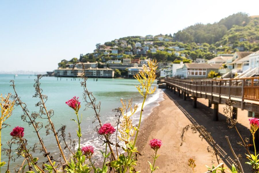 San Francisco: Muir Woods and Sausalito Half-Day Trip - Is the $95 price fair?