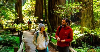 San Francisco: Muir Woods and Sausalito Half-Day Trip