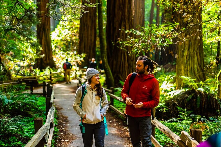 San Francisco: Muir Woods and Sausalito Half-Day Trip - What the mini-bus ride is like