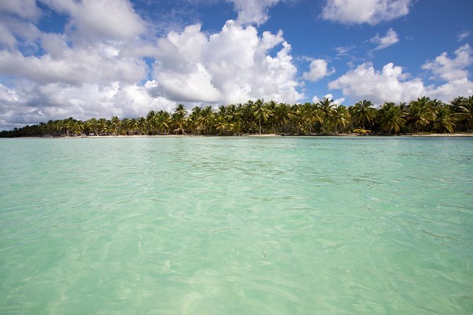Saona Island Day Trip From Punta Cana with Lunch and Open Bar - The Natural Swimming Pool and Starfish Stop
