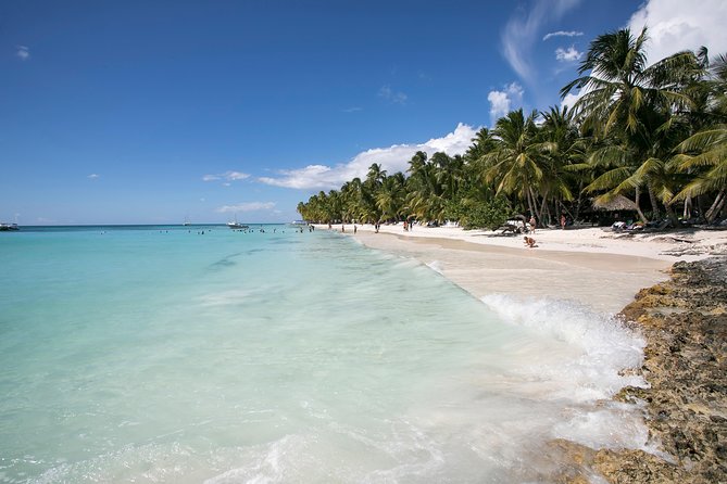 Saona Island Day Trip From Punta Cana with Lunch and Open Bar - Buffet Lunch and the Included Drinks