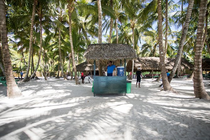 Saona Island Day Trip From Punta Cana with Lunch and Open Bar - What the Guides Add to the Day