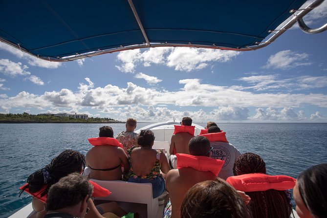 Saona Island Day Trip From Punta Cana with Lunch and Open Bar - The Main Drawbacks to Consider