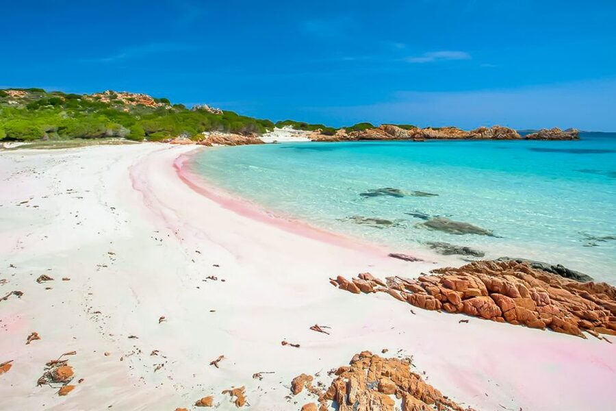 Sardinia: La Maddalena Archipelago Full-Day Trip by Boat - Leaving Palau or La Maddalena