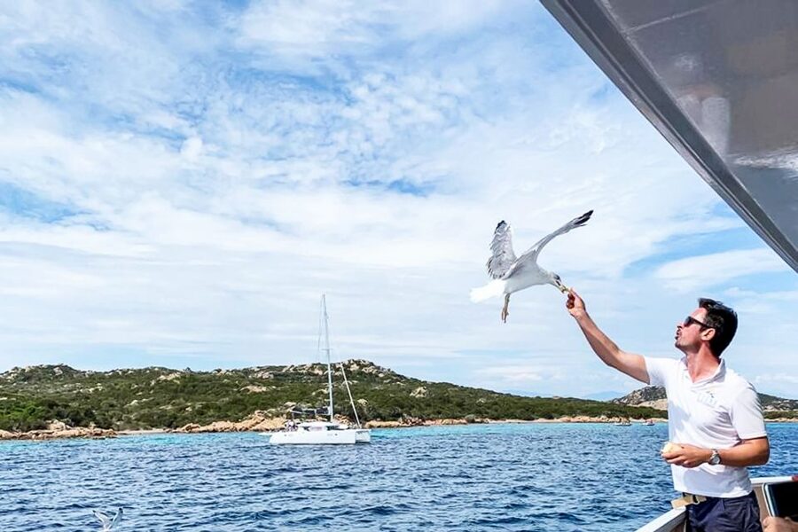 Sardinia: La Maddalena Archipelago Full-Day Trip by Boat - Budelli and the View of Pink Beach