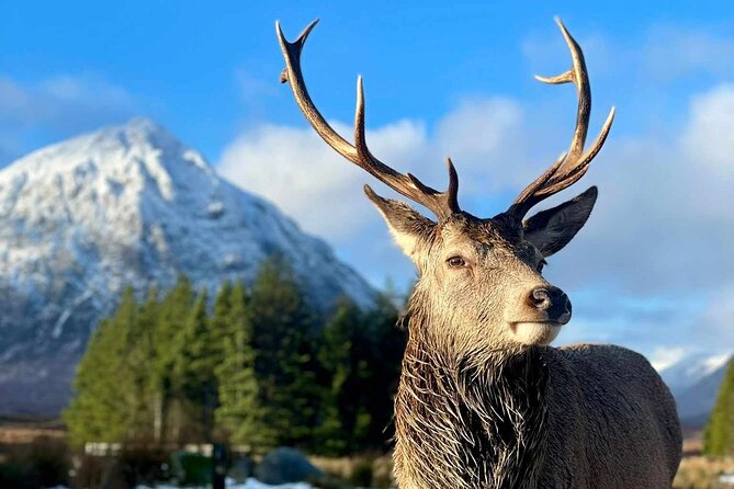 Scottish Highlands, Loch Ness and Glencoe Day Trip from Edinburgh - Stirling Castle on the return road