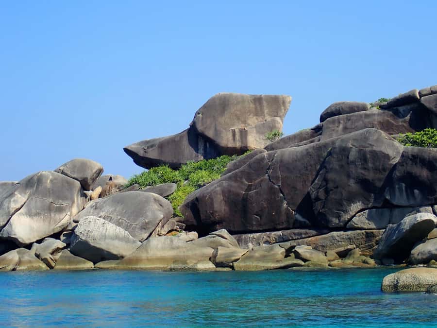 Similan Islands Early-Bird Tour From Phuket and Khao Lak! - Ko Miang, Honeymoon Bay, and Princess Bay
