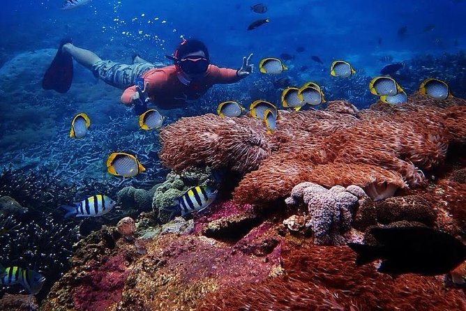 Snorkeling Day Trip To Lembongan and Penida - Welcome drinks and equipment at the Lembongan base
