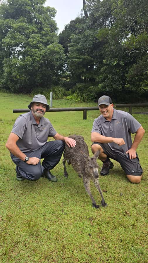 Sydney: Jervis Bay Day Trip with Dolphins, Roos & Beach Time - Key points to know before booking
