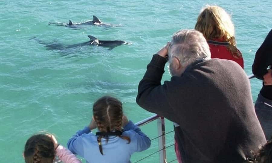 Sydney: Jervis Bay Day Trip with Dolphins, Roos & Beach Time - The three-hour ride south from Sydney
