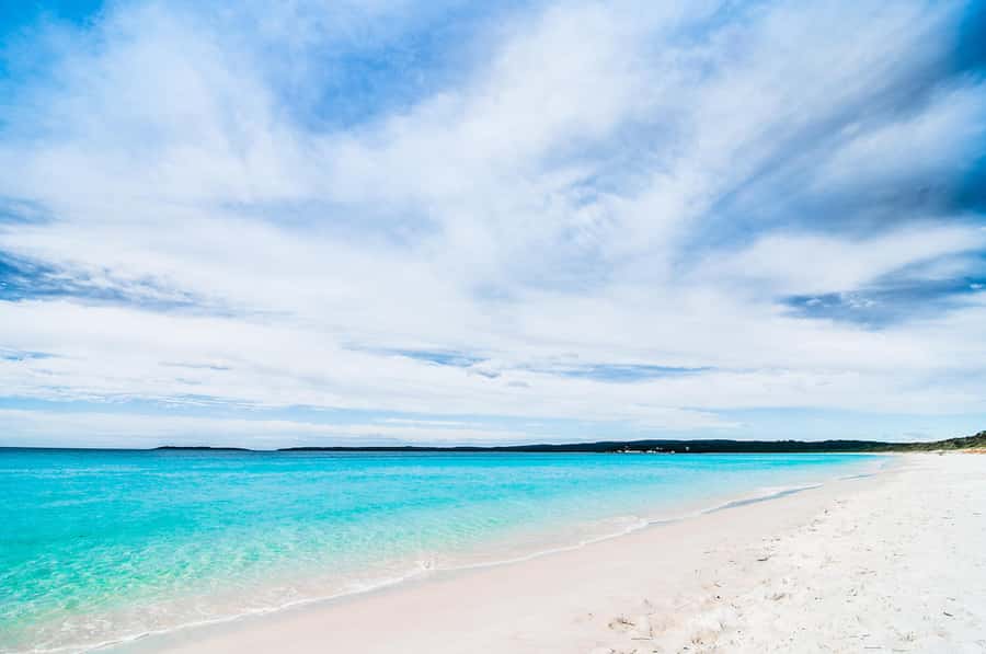 Sydney: Jervis Bay Day Trip with Dolphins, Roos & Beach Time - Hyams Beach and the famous white sand