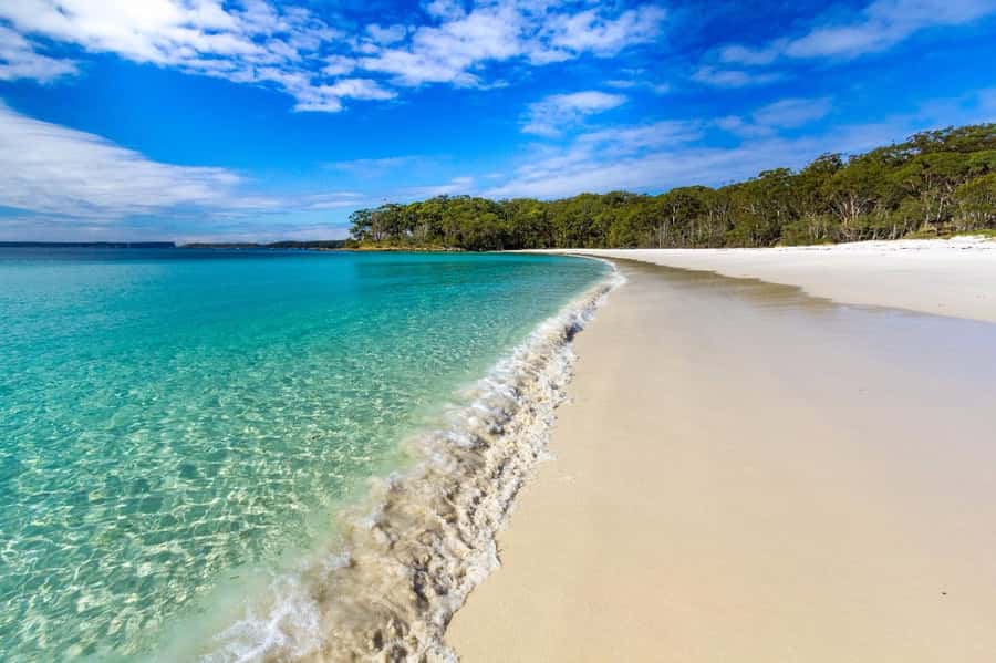 Sydney: Jervis Bay Day Trip with Dolphins, Roos & Beach Time - The White Sands Trail and its shorter option