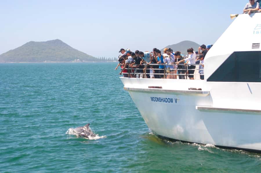 Sydney: Port Stephens Dolphin Cruise & Sandboarding Day Trip - A big day from Sydney to Port Stephens