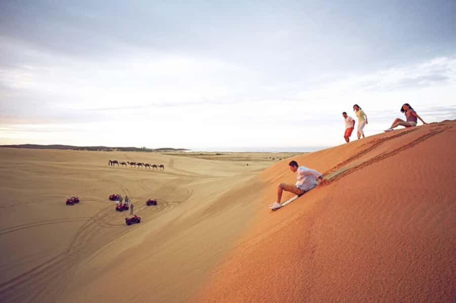 Sydney: Port Stephens Dolphin Cruise & Sandboarding Day Trip - Lunch and the Port Stephens Koala Sanctuary