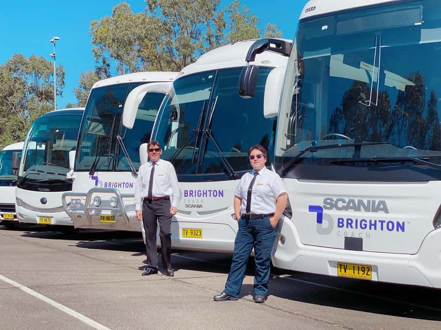 Sydney: Port Stephens Dolphin Cruise & Sandboarding Day Trip - Should you book it?