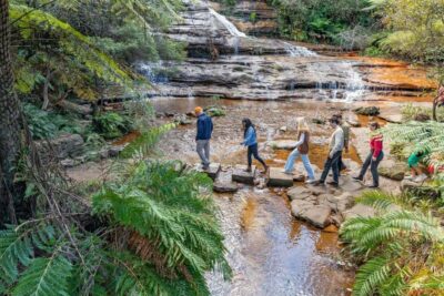 Sydney: Waterfall Bushwalk and Blue Mountain Sunset Day Trip