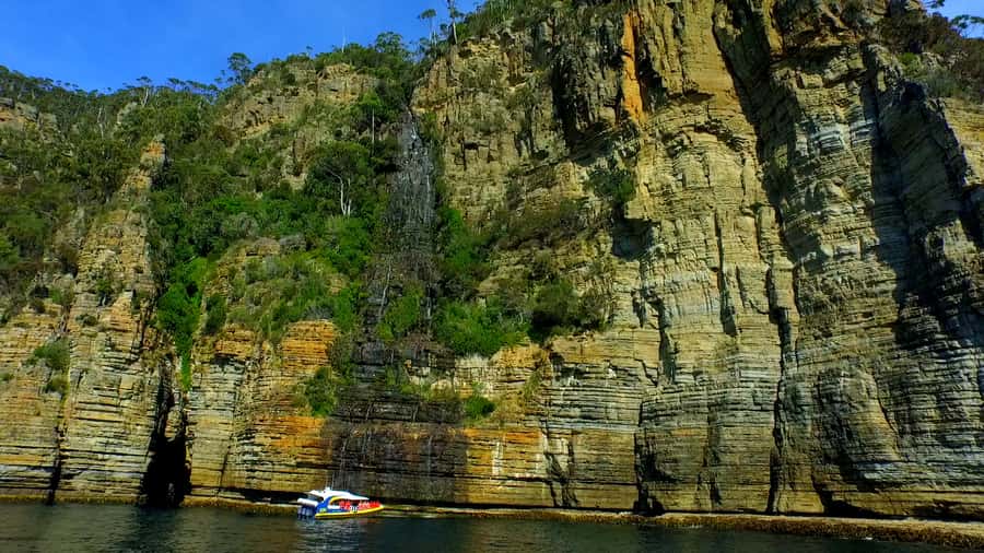 Tasman Peninsula Day Trip with Cruise & Devils from Hobart - Morning tea on the peninsula