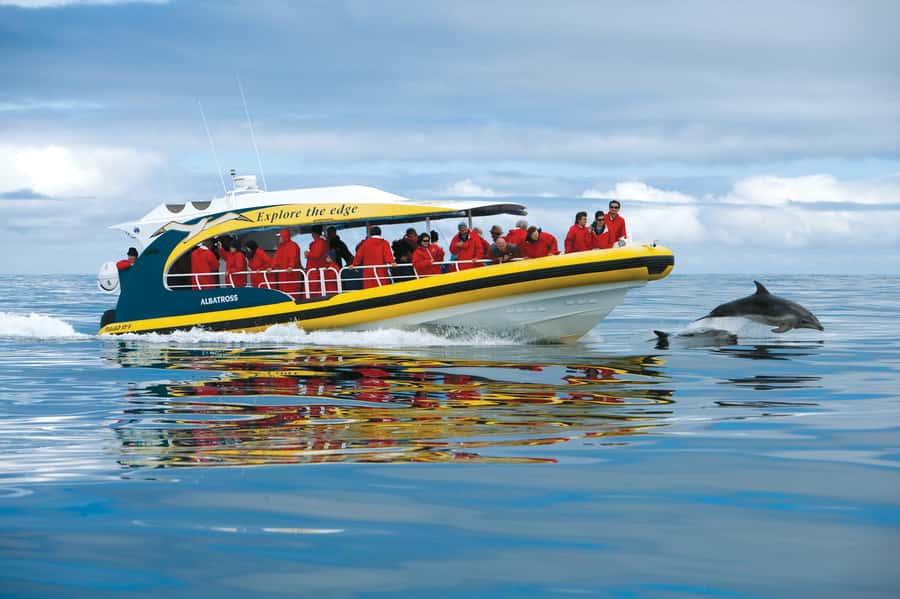 Tasman Peninsula Day Trip with Cruise & Devils from Hobart - From Hobart to Port Arthur by comfortable coach
