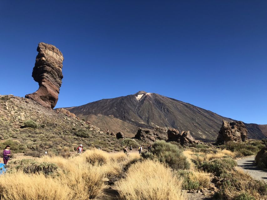 Tenerife: Mount Teide, Masca, Icod and Garachico Day Trip - Icod de los Vinos and the ancient Dragon Tree