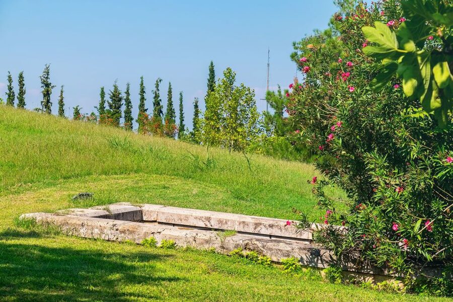 Thessaloniki: Vergina and Pella Day Trip - Lunch in Vergina, then the New Museum of Aigai