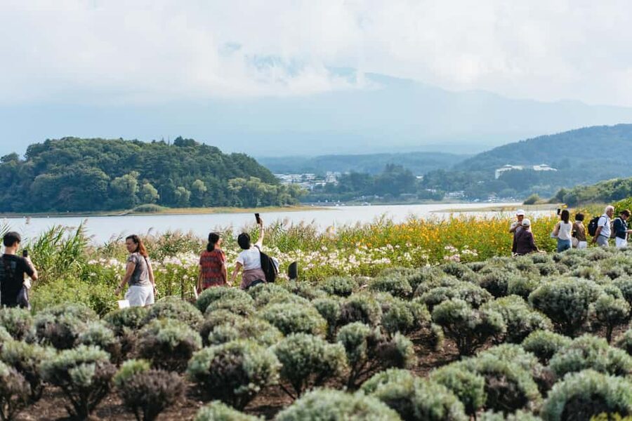Tokyo: Mt. Fuji, Kamakura, Big Buddha, & Lake Ashi Day Trip - Oshino Hakkai and its clear spring ponds