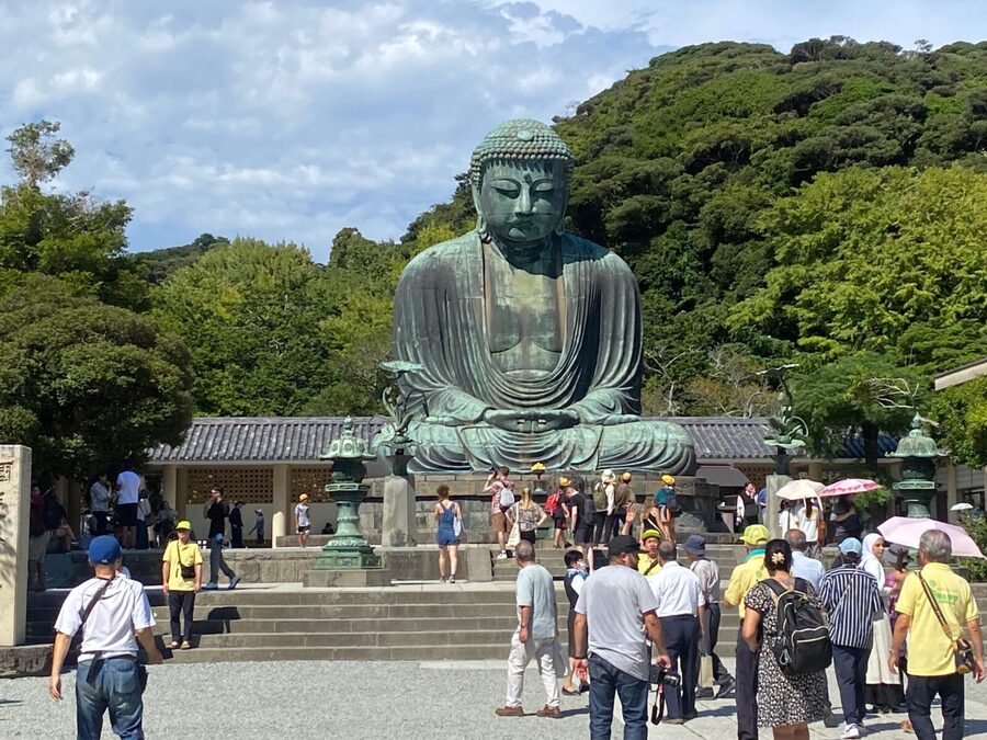Tokyo: Mt. Fuji, Kamakura, Big Buddha, & Lake Ashi Day Trip - Price, inclusions, and which option makes sense