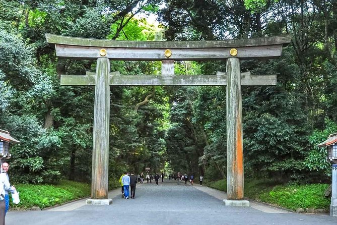 Tokyo Private Day Trip - Enjoy Your First-Time Visit to Tokyo! - Public transport is useful, but it takes effort