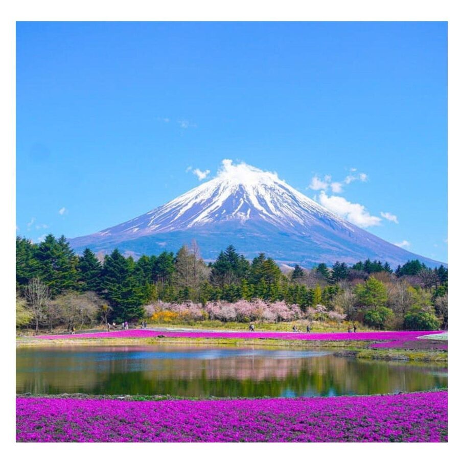 “Tokyo to Mt. Fuji & Hakone: Private Customizable Day Trip” - Village visits, caves, and shopping choices