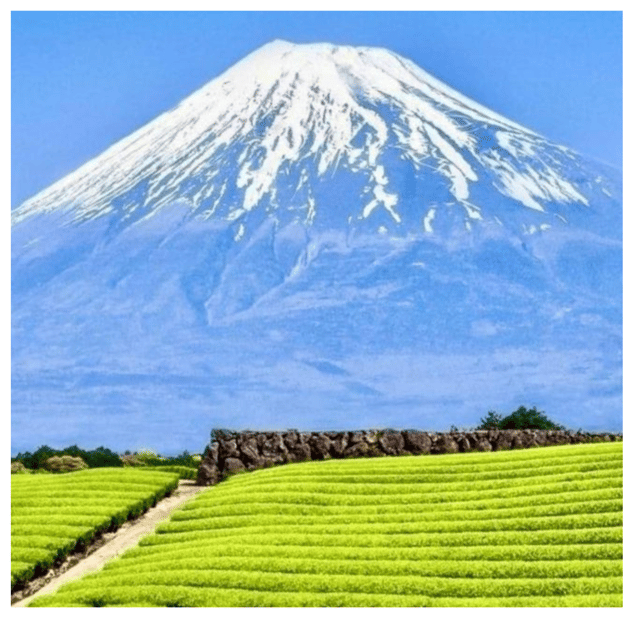 “Tokyo to Mt. Fuji & Hakone: Private Customizable Day Trip” - Start early from your Tokyo hotel