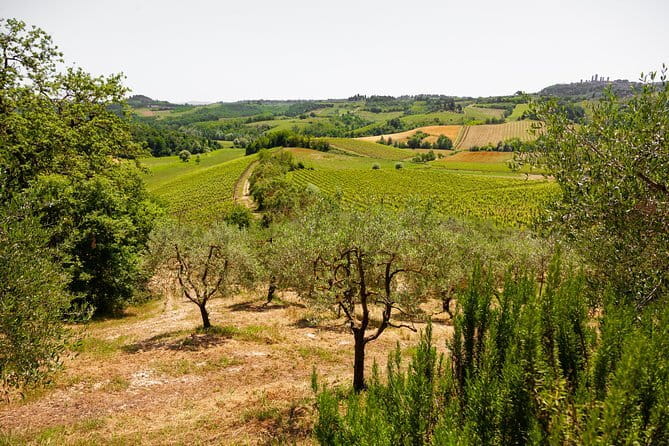 Tuscany Day Trip from Florence: Siena, San Gimignano, Pisa and Lunch at a Winery - What this Tuscany day trip is really designed to do