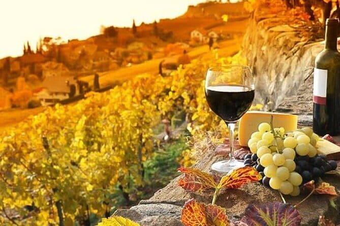 Tuscany Day Trip from Florence: Siena, San Gimignano, Pisa and Lunch at a Winery - The Fattoria Poggio Alloro lunch stop