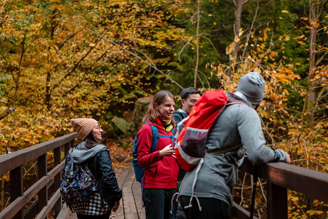 VIP Best Reviews: Bohemian & Saxon Switzerland from Prague - Optional Pravcicka Gate and the Kamenice gorges