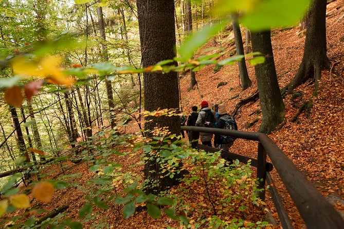 VIP Best Reviews: Bohemian & Saxon Switzerland from Prague - How difficult is the walking?