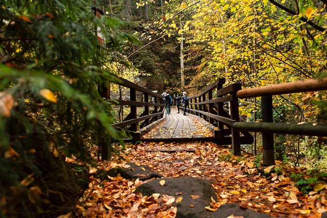 VIP Best Reviews: Bohemian & Saxon Switzerland from Prague - Winter or warmer months?