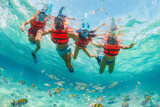 Xcaret Park Day Trip, transportation and Cultural Night Show - Mayan Sites and Mexican Culture Along the Paths