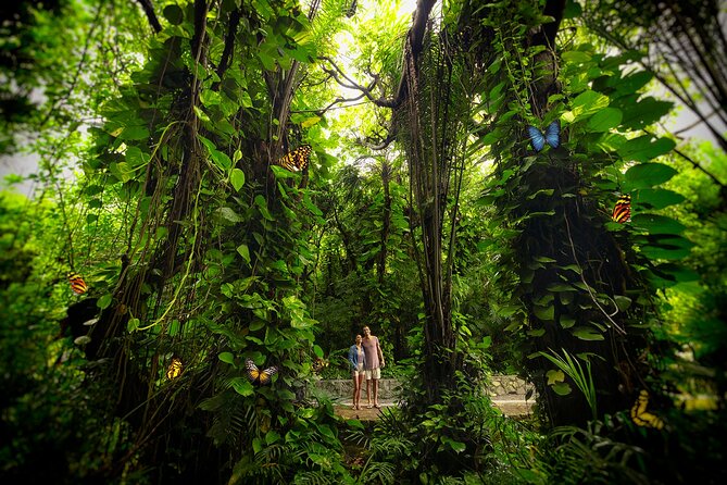 Xcaret Park Day Trip, transportation and Cultural Night Show - Xcaret México Espectacular After Dark