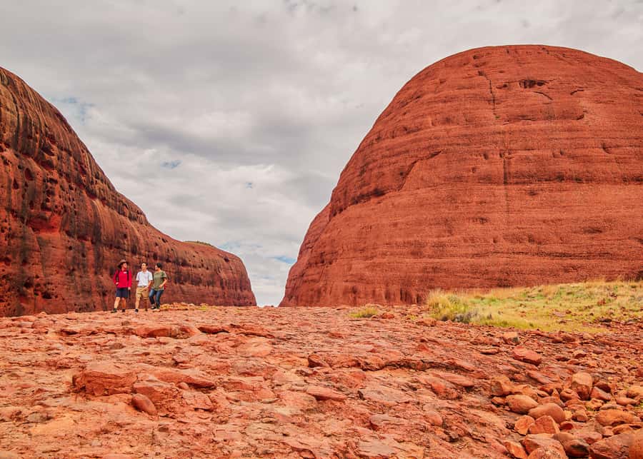 Yulara: Uluru Sunrise and Kata Tjuta Day Trip by Bus - Should you book it?