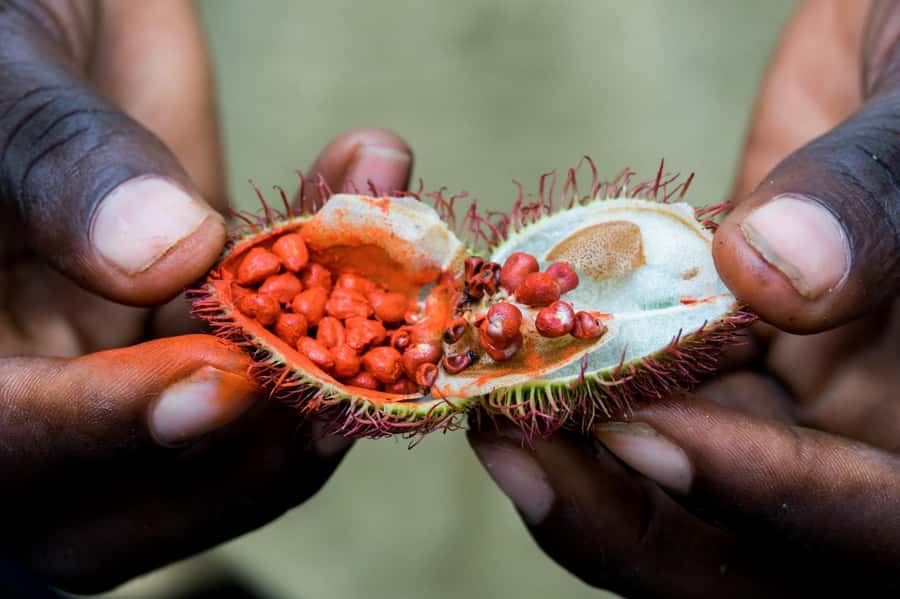 Zanzibar: Stone Town, Spice Tour, Prison Island with Lunch - What to pack and how to make the most of it
