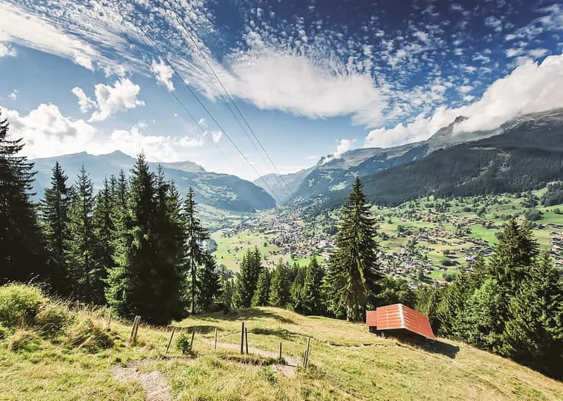 Zurich: Grindelwald, Interlaken & Lauterbrunnen Day Trip - Practical booking advice